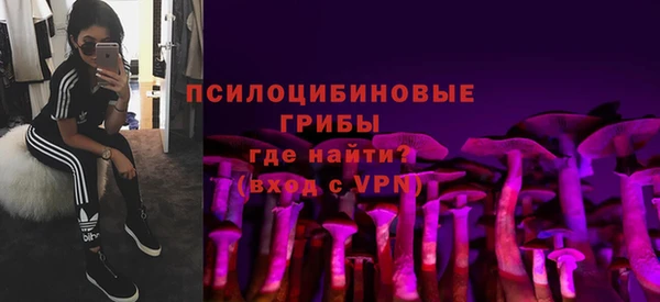 хмурый Дмитриев