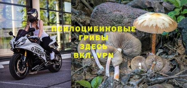 a pvp Ельня