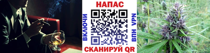 как найти наркотики  Снежногорск  МАРИХУАНА конопля 